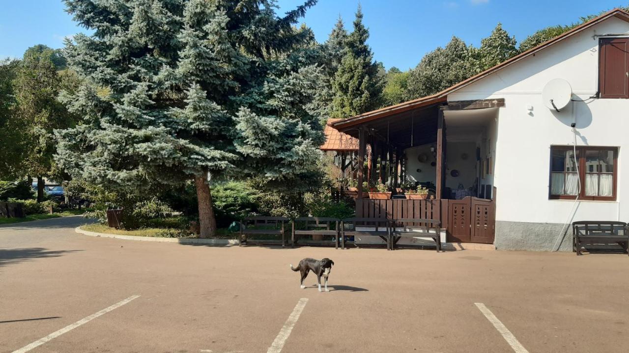 马提乌斯住宿加早餐旅馆 埃格尔 外观 照片